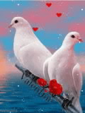 Manuk